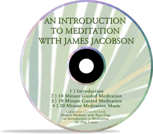 medcdt-72