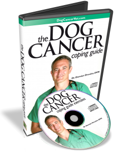 The Dog Cancer Coping Guide