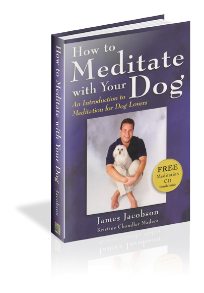 How to Meditate with Your Dog