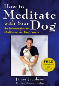 How to Meditate with Your Dog Book Cover