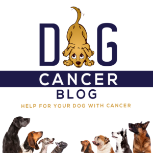Dog Cancer Blog - Help For Your Dog With Cancer