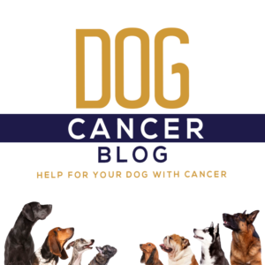 Dog Cancer Blog With Dogs