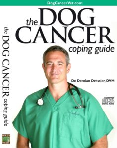 Dog Cancer Coping Guide Cover